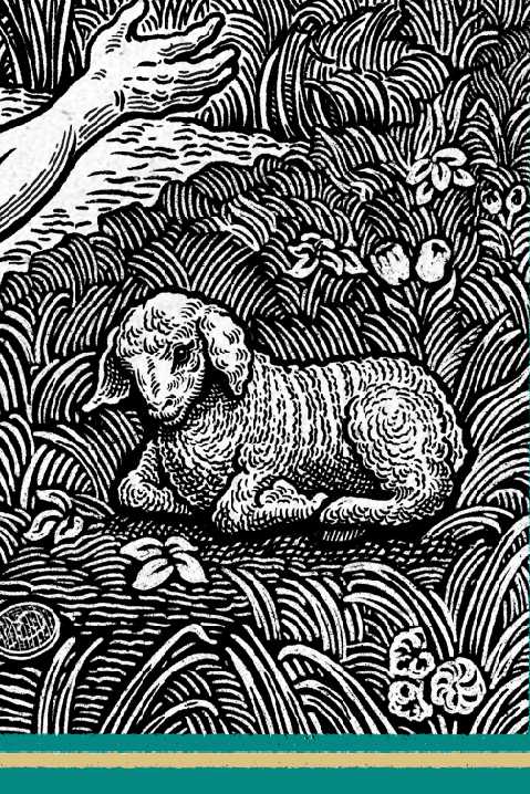 Bring Forth the Best Robe